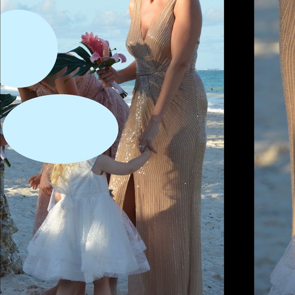 Parker Black Monarch Beaded Blush/Nude Gown - Size 6 - Picture 15 of 15